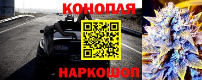 прущие грибы Камышлов