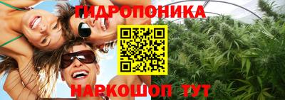 ешки Канаш
